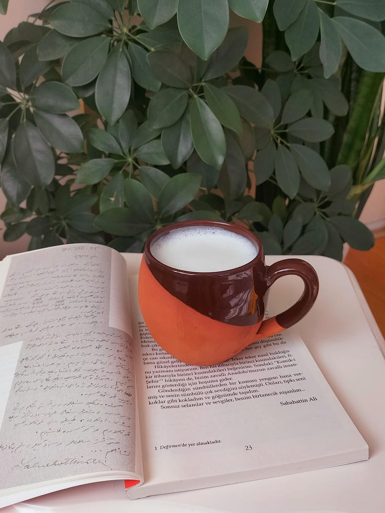 Holiday Reading  with a cup of milk on a book